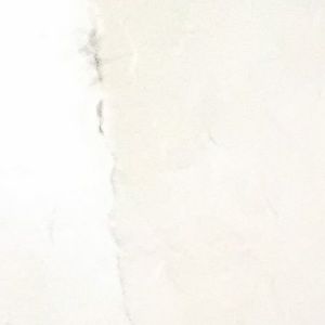 Meet your Posher, Tony